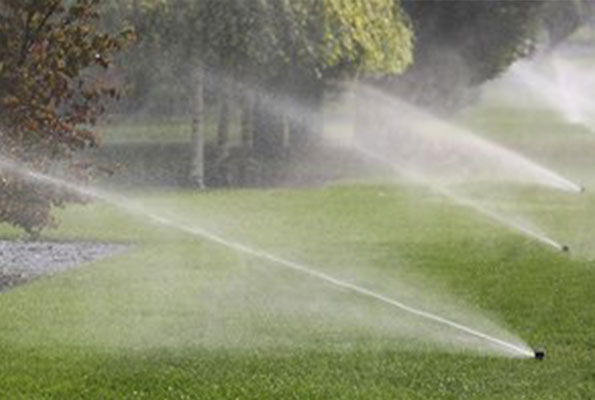 sprinklers in mornington